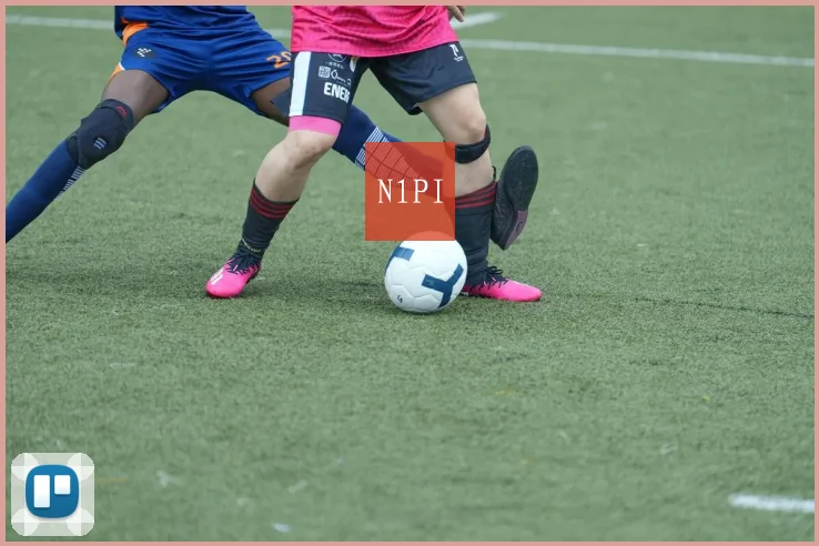N1PI