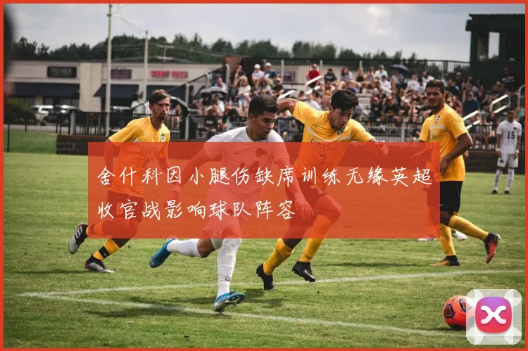 舍什科因小腿伤缺席训练无缘英超收官战影响球队阵容